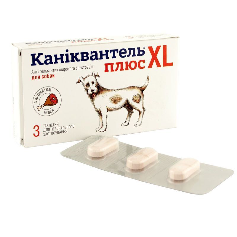 Важные причины обратить внимание на антигельминтик Haupt Pharma Caniquantel Plus